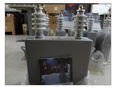 高压并联电容器BWF10.5-18-1W产品详解 厂家直销，品质保障
